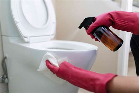 affordable toilet cleaning service in my area